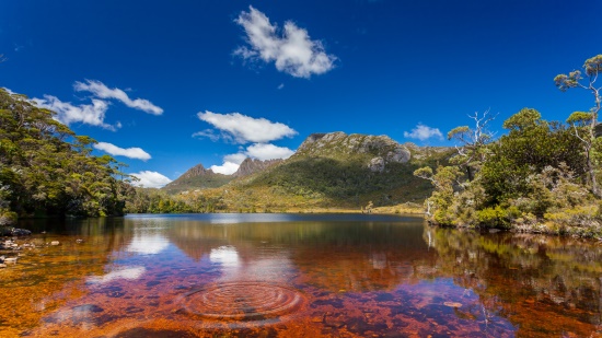 TASMANIA